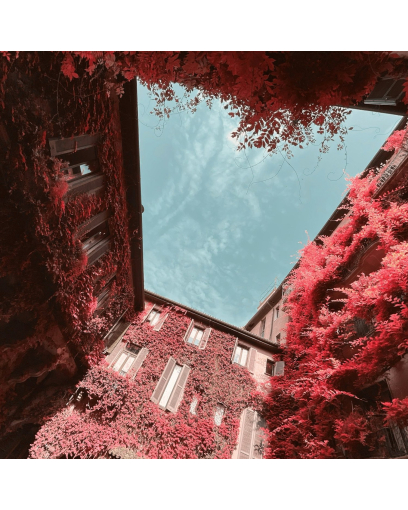 La déferlante des collections capsules