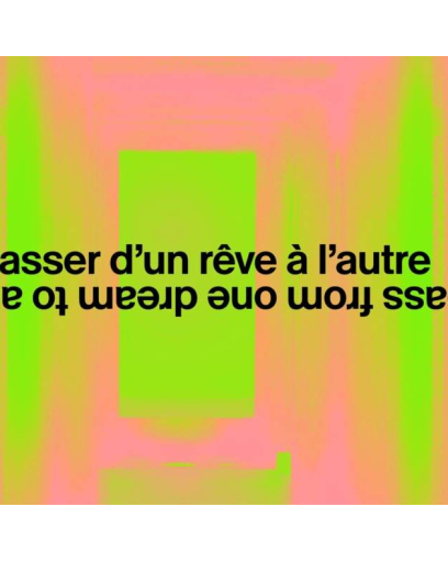 L'art se faufile dans les traboules lyonnaises