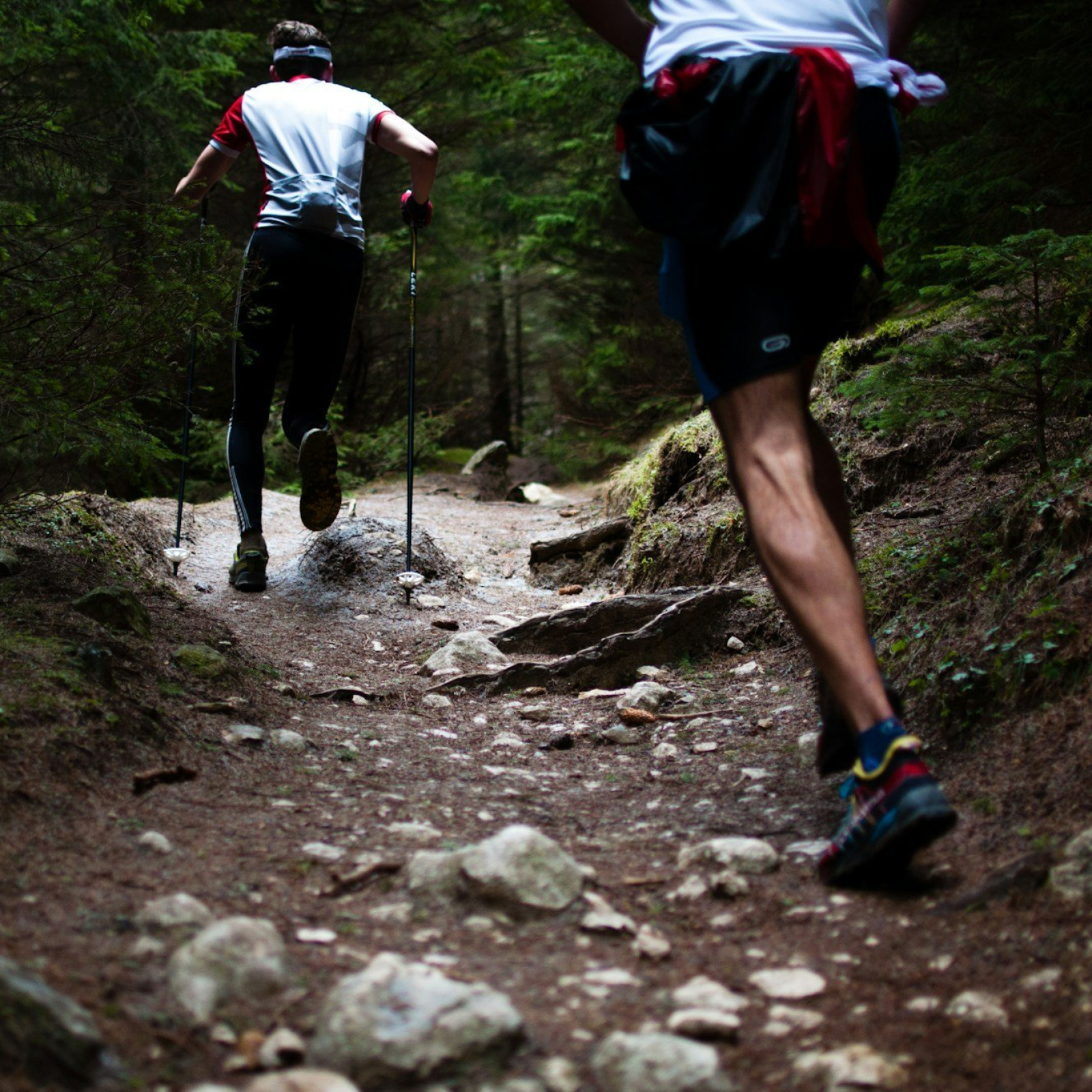 Salomon confie son altitude à une nouvelle main