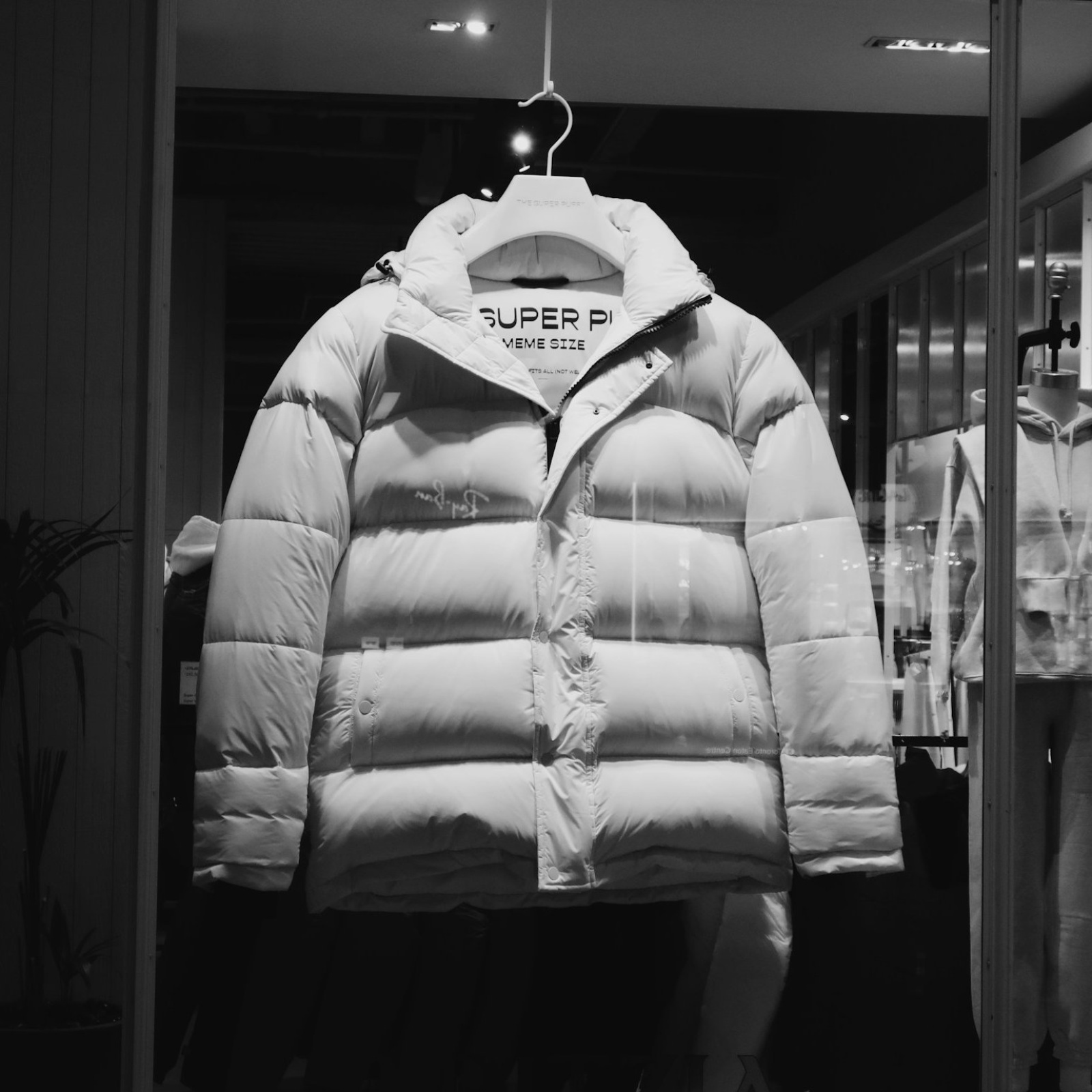 Cher, Grace Jones, Jennie : l'audace n'a pas d'âge chez Moncler