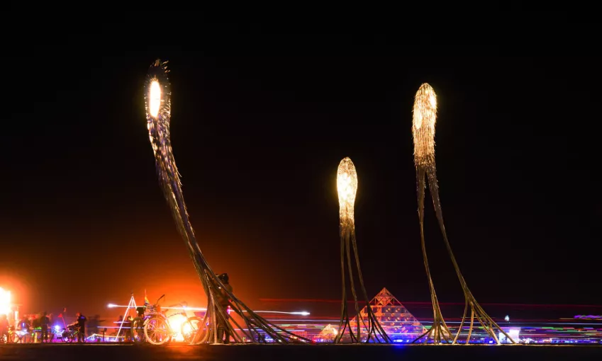 Festival Burning Man, Nevada